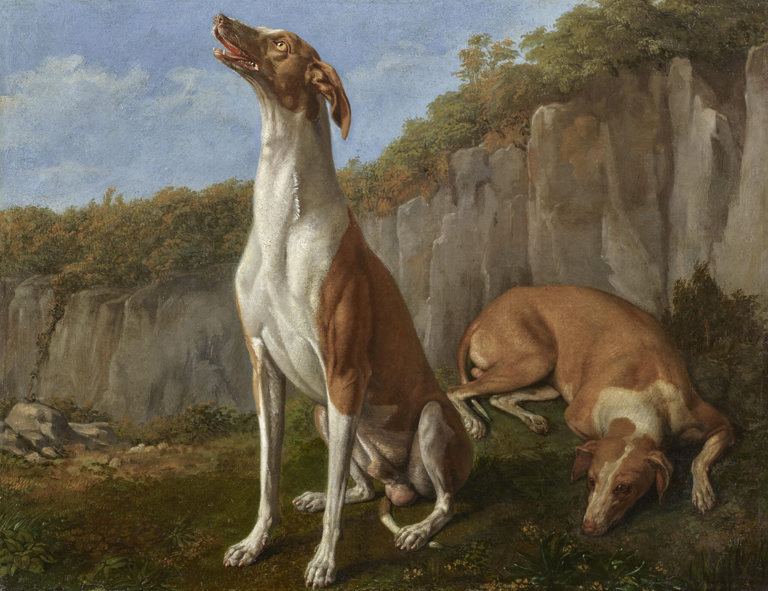 Two Ibizan Hounds Rafael VallsRafael Valls two-ibizan-hounds-rafael-vallsrafael-valls