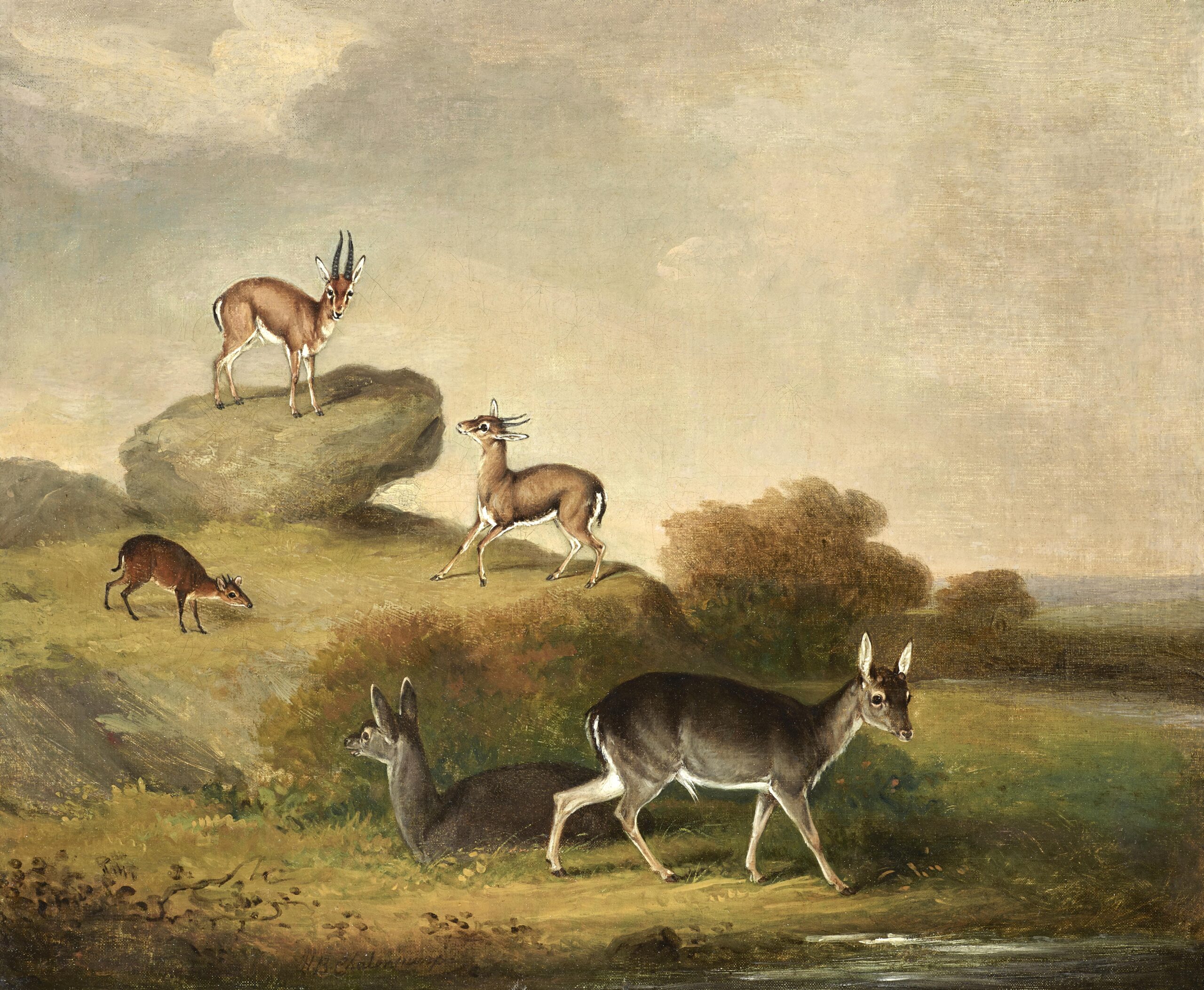 Henry Bernard Chalon, Thompson's Gazelles, a Muntjac and Sika Hinds in a Landscape - Rafael Valls