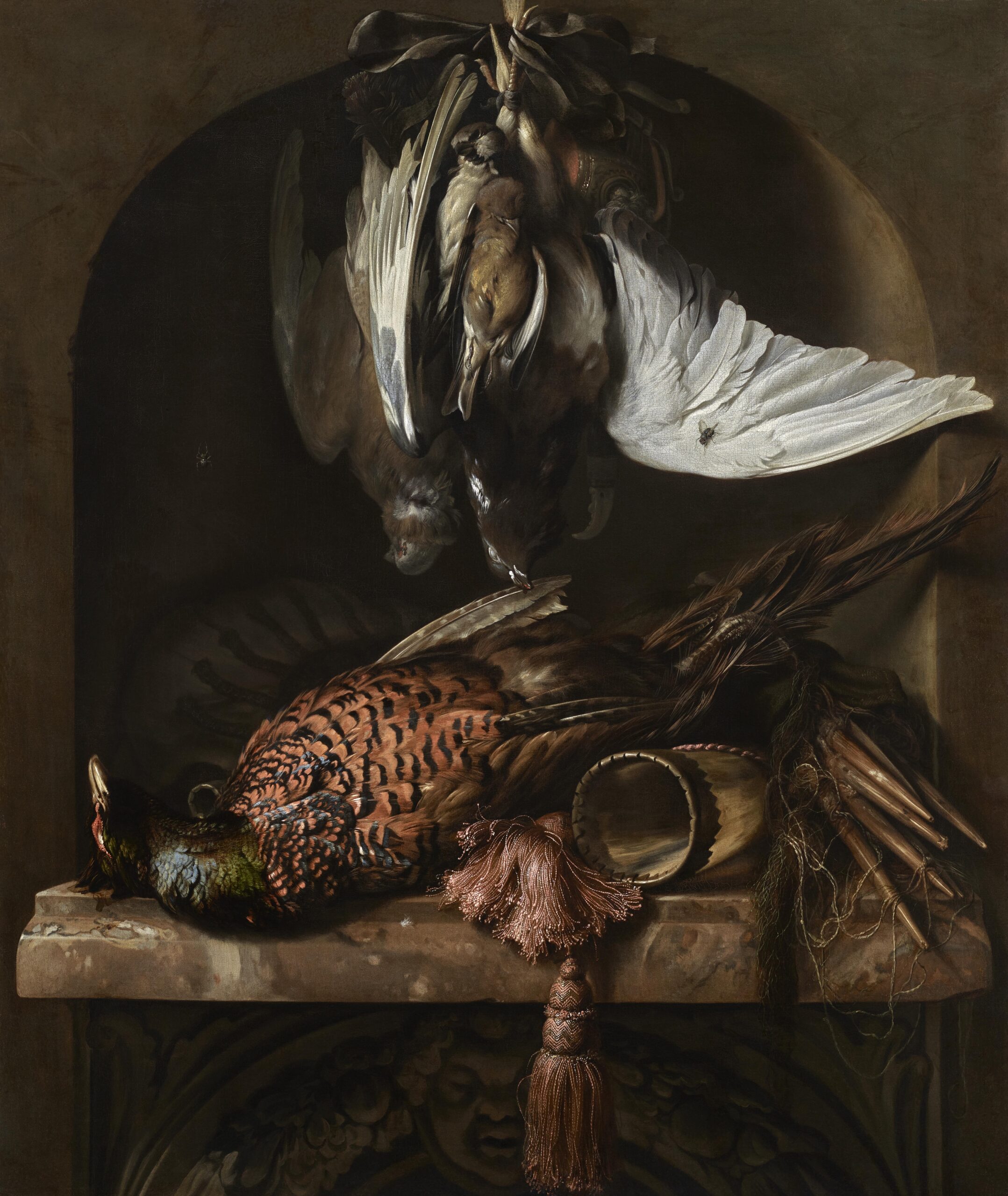 Jan Weenix, A Still Life with a Pheasant on a Ledge and a Partridge, a Pigeon and two Finches tied together with a Bow - Rafael Valls