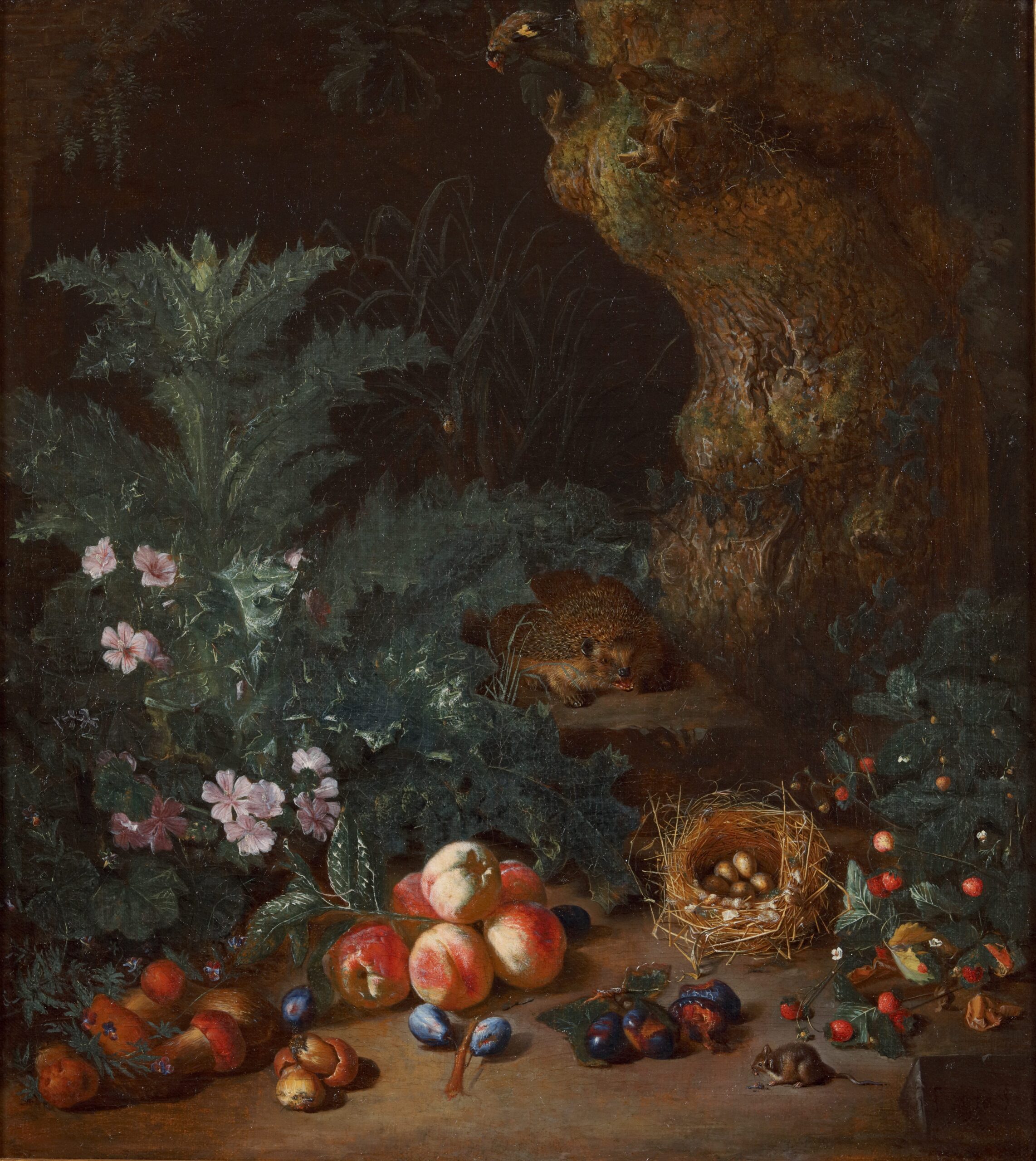 Pieter Snijers, A Forest Floor with Fruit, a Hedgehog, a Goldfinch, and a Bird's Nest - Rafael Valls